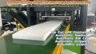 Automatic Die Cutting Machine | Die Cut and Stripping at the Same Time