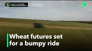 Wheat prices surge on dry weather