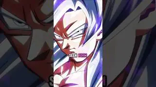 Grand priest sees goku new form