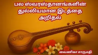 Various swarasthanas in single fret| Vainika Charumathi 