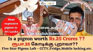 Most Expensive Pigeon|Five star level Pigeon Loft|ரூபா.25 கோடிக்கு புறா