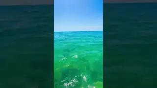 #bobmarley #черноеморе2025 #море #reggae #music #reggaemusic #root #beach #русскоеморе #travel