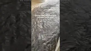 Our RV almost became a boat in Pismo Beach, CA!! #rvnomad #rvliving #fulltimerv #rvtravel #shorts