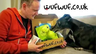 Frank got (ANOTHER) dog subscription box! | WufWuf Review