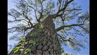 Chaco National Park