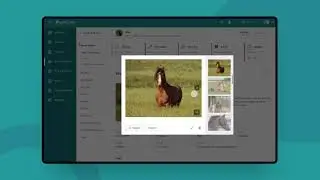Portfolio Video | Horse Management Software | Coditas
