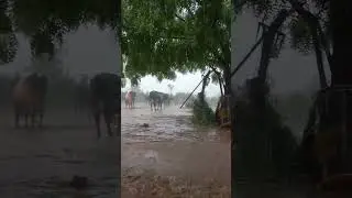 pre monsoon in india