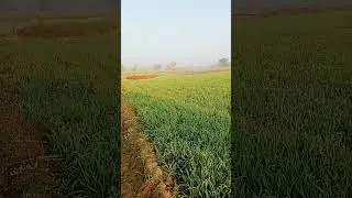 my first vlog youtabe short🙏🤭 videos#myfistvlog#tranding#viralshort
