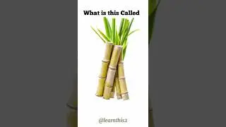 what is This Called