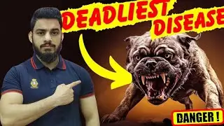 How RABIES Kills? Explained In 3-Mins|  Dog Bite &ndash; Real Lahore Case😰|