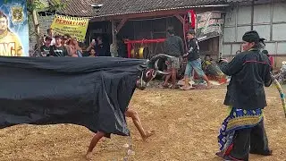 Seni Bantengan Laskar Maheso Lawung Live Lebak Geneng Jatirejo Mojokerto