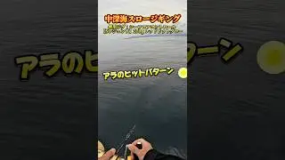 【中深海】アラがヒットしたしゃくり