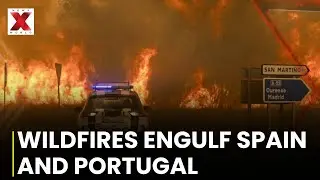 Southern Europe Faces Devastating Wildfires As Spain, Portugal Battle Record Heatwaves | NewsX World