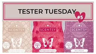 New SCENTSY FW Tester Tuesday - Cinnamon Buttercream, Pomegranate Prosecco and Berry Blessed Round 5