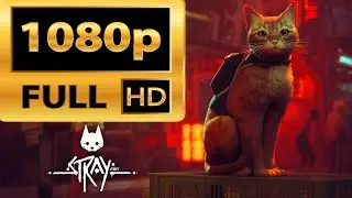 STRAY / RYZEN 5 5600GT / RX 580 2048SP / TEST IN 1080P HIGH !