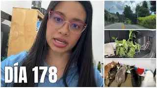 Un día cualquiera haciendo mis cosas, yendo a mercar y trabajando |Vlog #178