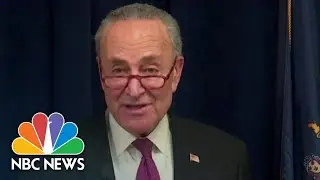 Chuck Schumer: Trump&rsquo;s Acquittal Means Nothing &lsquo;If It&rsquo;s A Sham Trial&rsquo; | NBC News NOW
