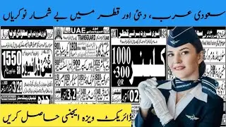 Saudi Arabia, UAE, Dubai And Qatar Jobs For Pakistani Driving, Electric, Cooking, Labor Jobs