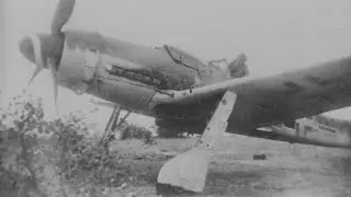 1/32 Hasegawa FW190 D-9 'Dora' Part 11: Camouflage Painting