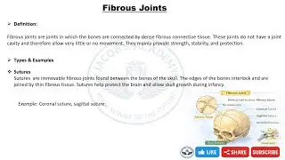 Fibrous Joints Explained | Types, Examples & Nursing Importance | Anatomy for Nurses