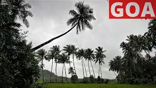 Beautiful Place in Assonora Village - Bridge - Field - Goa Vlog - Goa current Situation