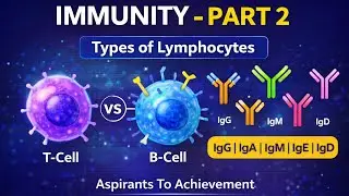 Immunity Part 2 - Types of Lymphocytes | T-Cell, B-Cell & Immunoglobulins (IgG, IgA, IgM, IgE, IgD)