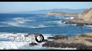 Bay Area Bountiful: California Coast