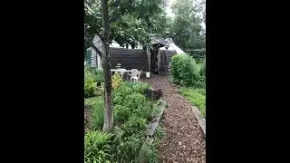 Nutwood Farm Short