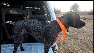 Grouse Hunting-Equipment Failure & Mistakes Made