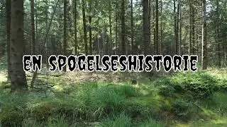 En sp&oslash;gelseshistorie
