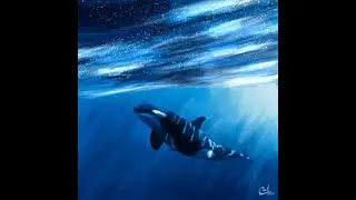 Yacht Eater (Speedpaint)
