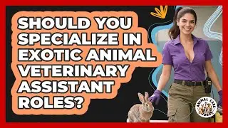 Should You Specialize In Exotic Animal Veterinary Assistant Roles? - Animal Care Jobs