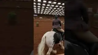 British Working Equitation National Championships 2023 - Huckleberry Pie - Ease of Handling.