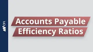 Accounts Payable Efficiency Ratios