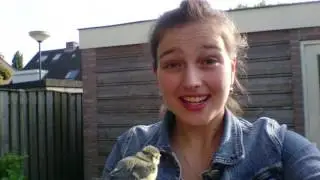 WJD vloggers stellen zich voor.
