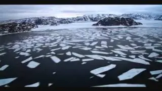 Save The Arctic