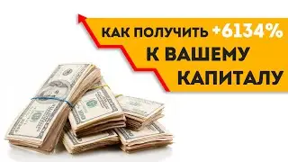 Как получить 6134% прибыли к вашему капиталу?