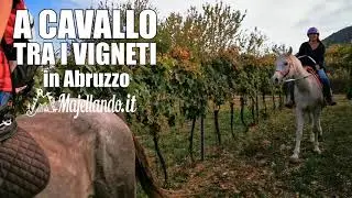 Escursioni a Cavallo tra i vigneti... in Abruzzo con Majellando