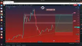 TWTUSDT / January 31, 2023 - Price Analysis