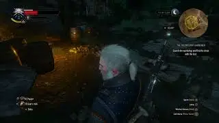Treasure Hunt Quest The Inconstant Gardener | DLC (The Witcher 3 Wild Hunt) Playstation 4   #91