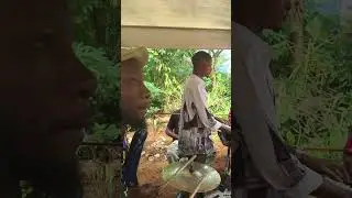 Full video live performance with Austin Bass 