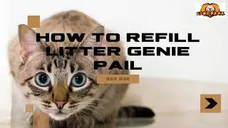 How to Use Litter Genie with Lionpapa Refills