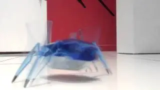 HEXBUG SCARAB XL @ www.RED5.co.uk