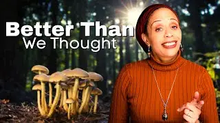 Psychedelics - Here&rsquo;s Where We Are