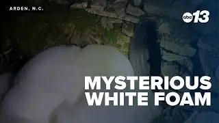 Mysterious white foam in creek prompts state investigation