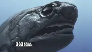 documentary about human evolution with spore music