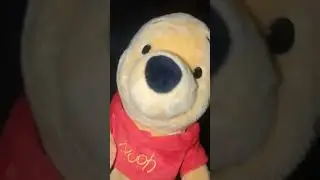 new teddy bear trend?