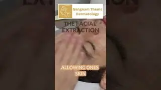 Theme Dermatology - Facial Extraction