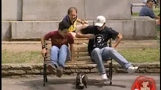 Scary Skunk on a stick Prank