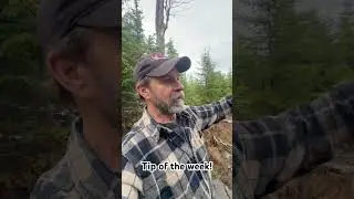 Совет недели